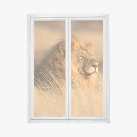 Adesivo per finestra maestoso leone nella savana dorata • Wallissimo®