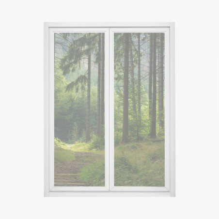 Adesivo per finestra sentiero nella foresta verde • Wallissimo®