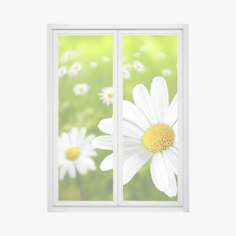 Adesivo per finestra margherite in primo piano su sfondo verde