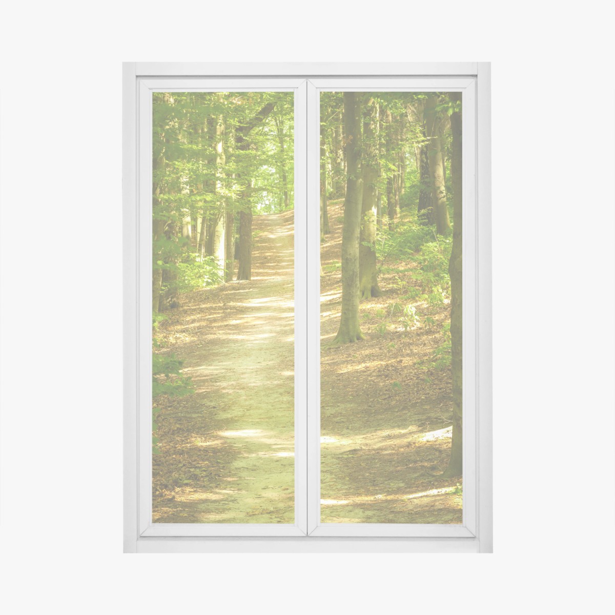 Adesivo per finestra sentiero tra gli alberi verdi • Wallissimo®