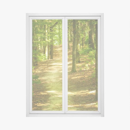 Adesivo per finestra sentiero tra gli alberi verdi • Wallissimo®