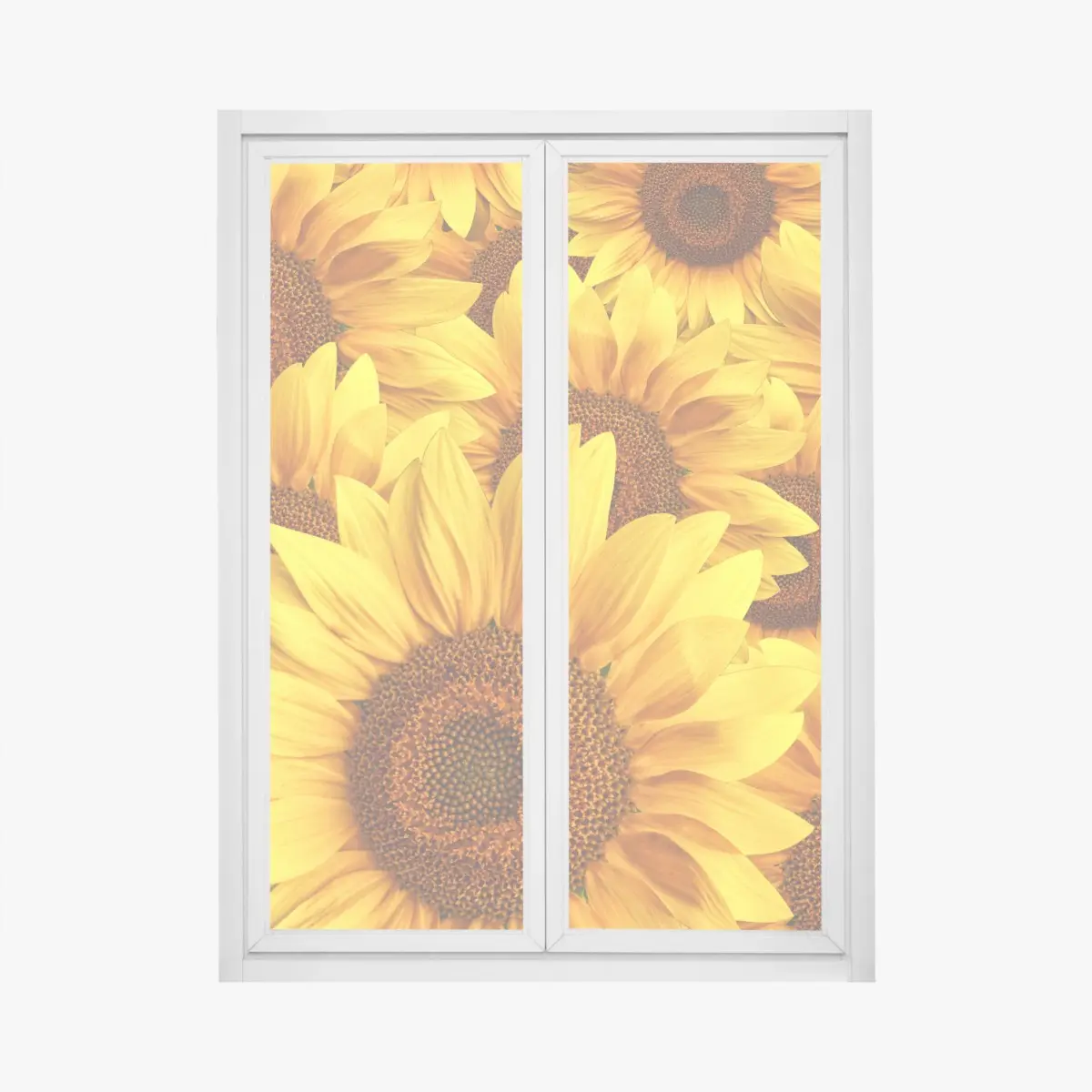 Adesivo per finestra esplosione di girasoli dorati • Wallissimo®