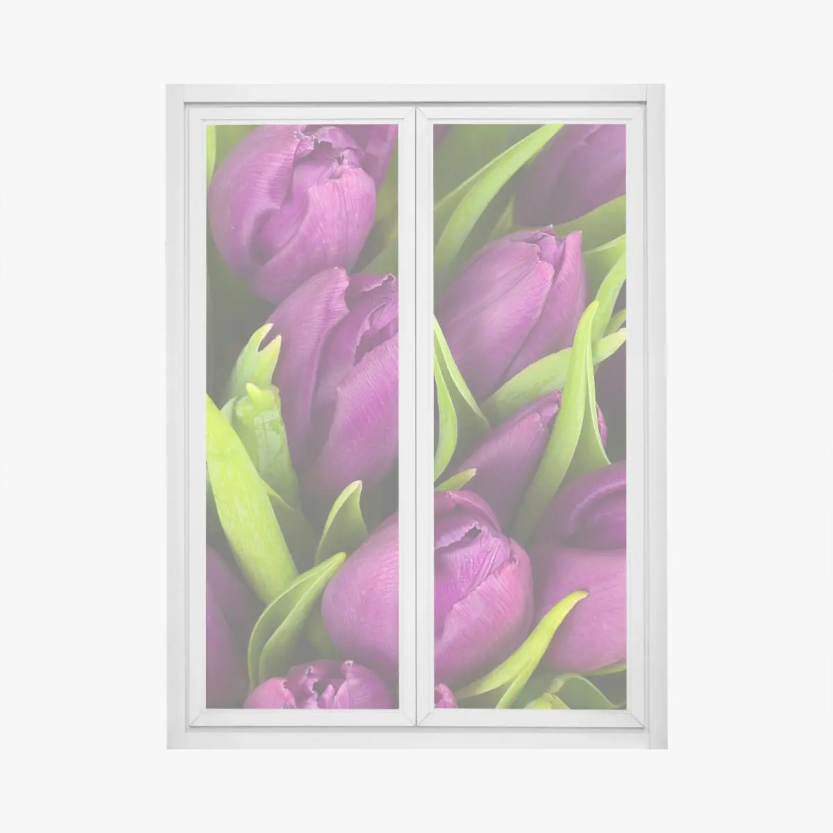Adesivo per finestra bouquet di tulipani viola in primo piano • Wallissimo®