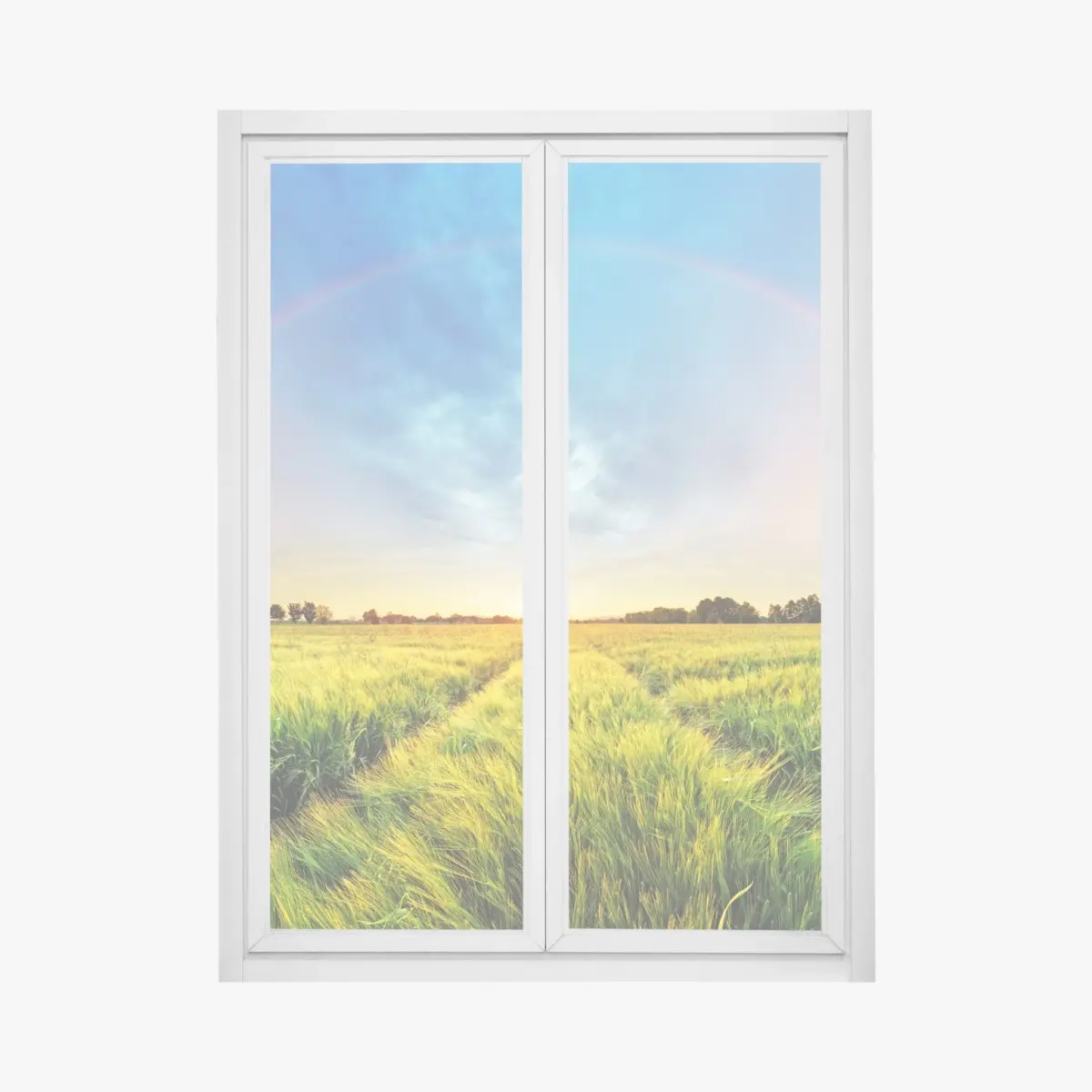 Adesivo per finestra campo di grano sotto un arcobaleno al tramonto • Wallissimo®