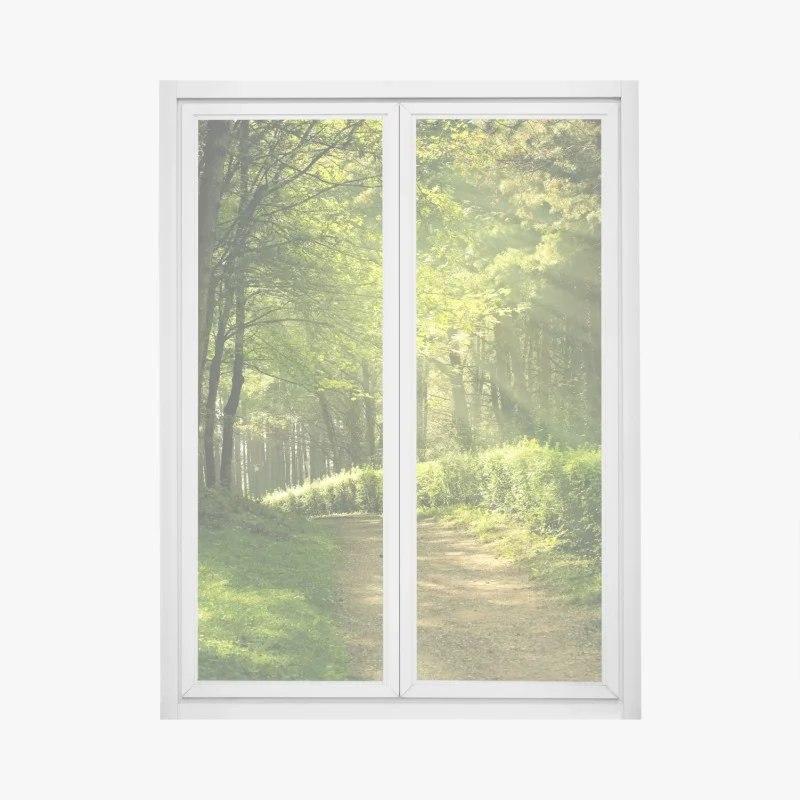 Adesivo per finestra sentiero illuminato nella foresta estiva