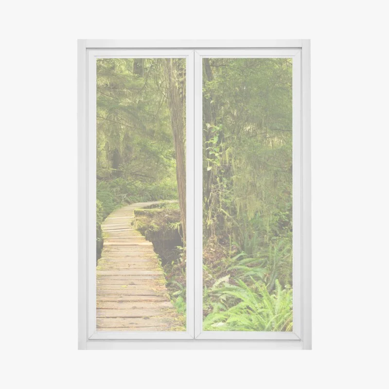 Adesivo per finestra sentiero nel cuore della foresta pluviale