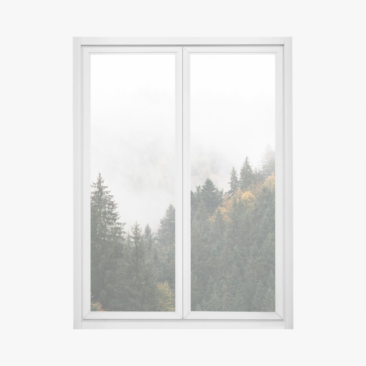 Adesivo per finestra nebbia tra gli abeti • Wallissimo®