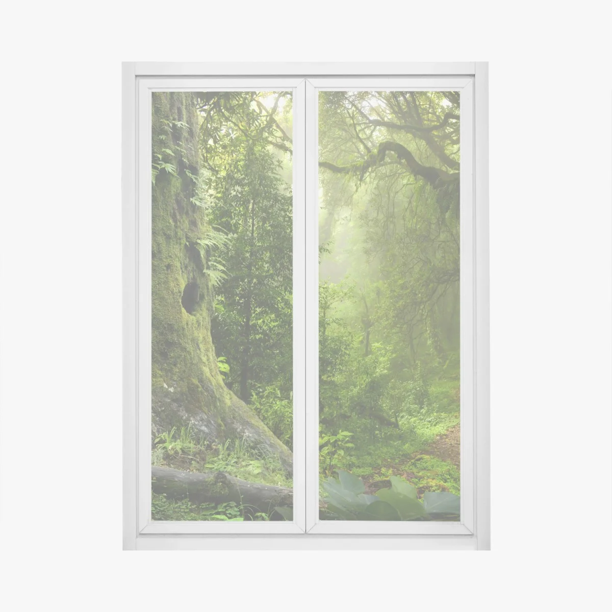 Adesivo per finestra foresta incantata: sentiero tra alberi secolari • Wallissimo® Adesivo per finestra foresta incantata: sentiero tra alberi secolari • Wallissimo®