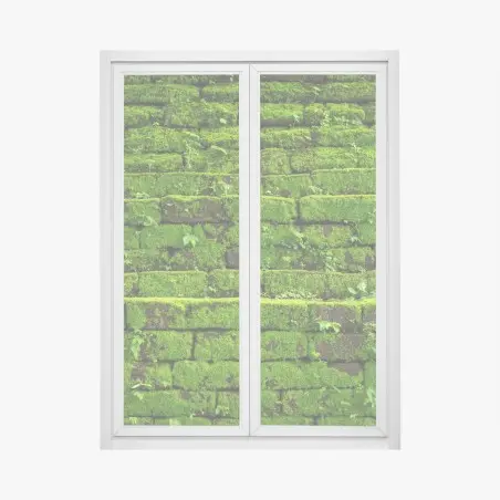 Adesivo per finestra muro verde di muschio per decorazione murale naturale • Wallissimo®