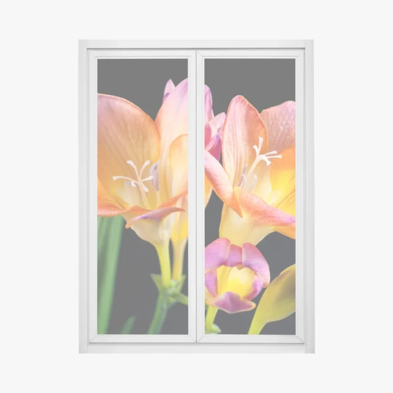 Adesivo per finestra fresie arancioni su sfondo scuro