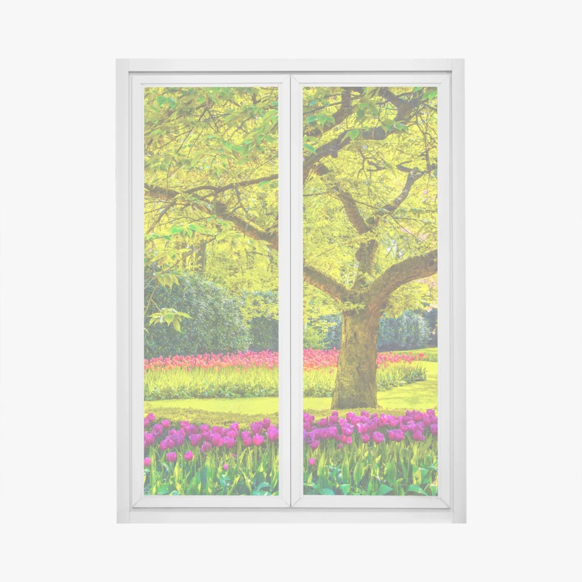 Adesivo per finestra giardino di tulipani primaverile a Keukenhof • Wallissimo® Adesivo per finestra giardino di tulipani primaverile a Keukenhof • Wallissimo®