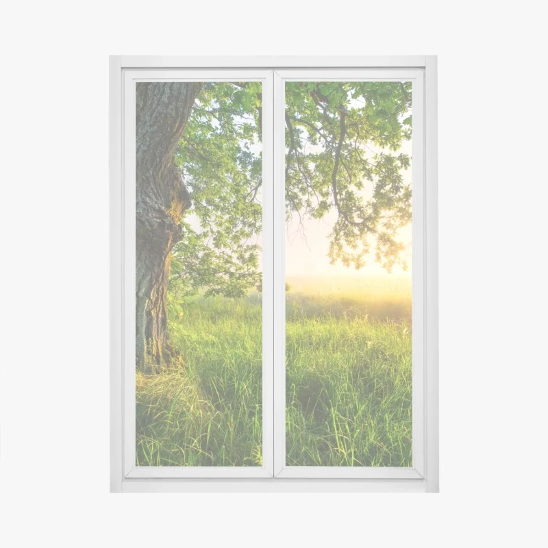 Adesivo per finestra quercia maestosa al mattino dorato