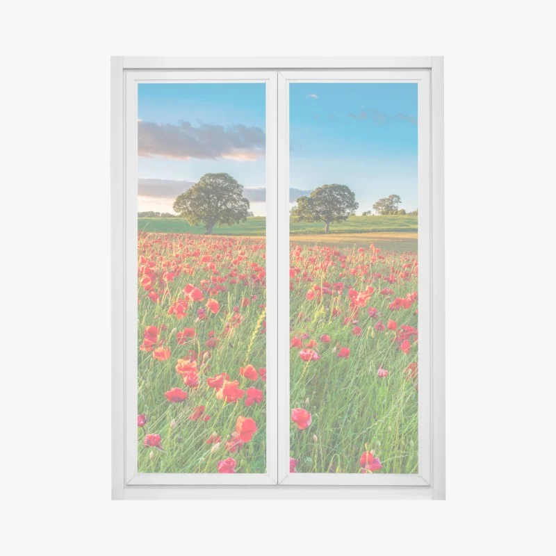 Adesivo per finestra campo di papaveri a Corbridge, Northumberland