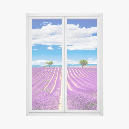 Adesivo per finestra campo di lavanda a Valensole, Provenza • Wallissimo®