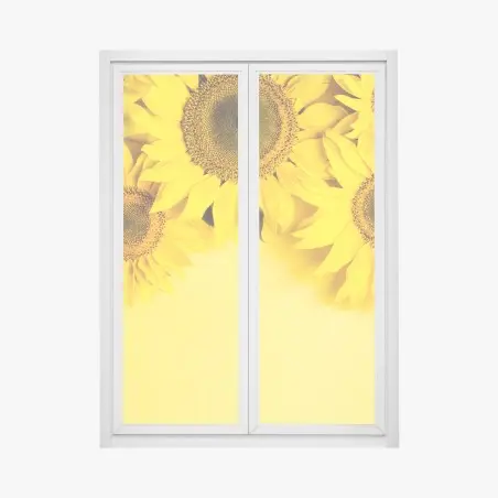 Adesivo per finestra girasoli su sfondo giallo vivace • Wallissimo®