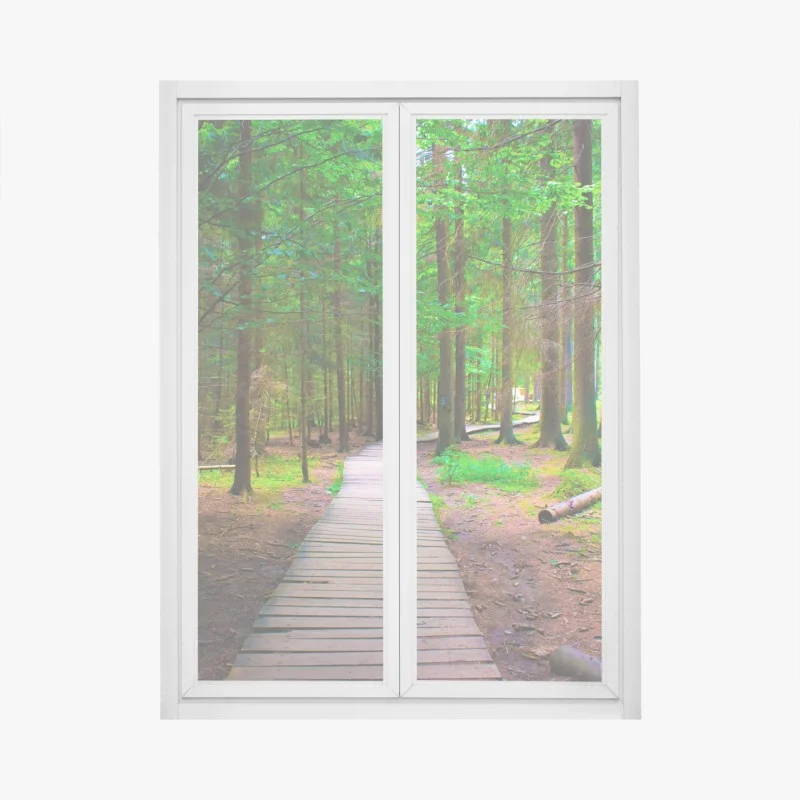 Adesivo per finestra sentiero nel bosco verde