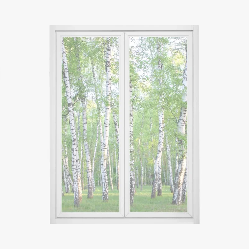 Adesivo per finestra bosco di betulle estivo: luce e freschezza