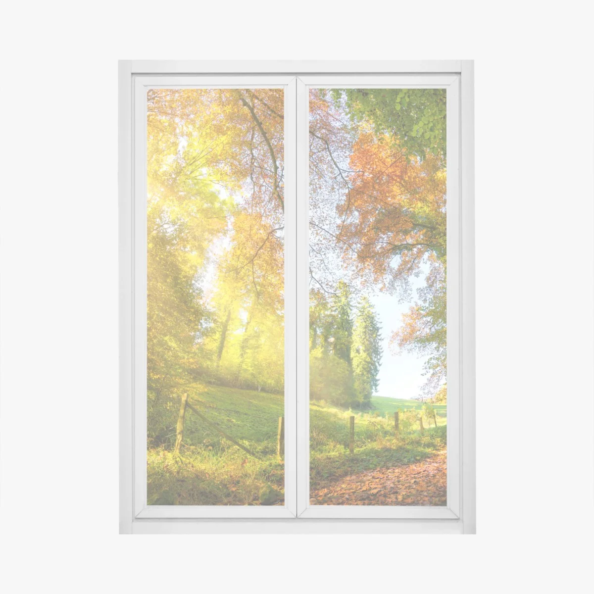 Adesivo per finestra sentiero d'autunno nel bosco • Wallissimo® Adesivo per finestra sentiero d'autunno nel bosco • Wallissimo®