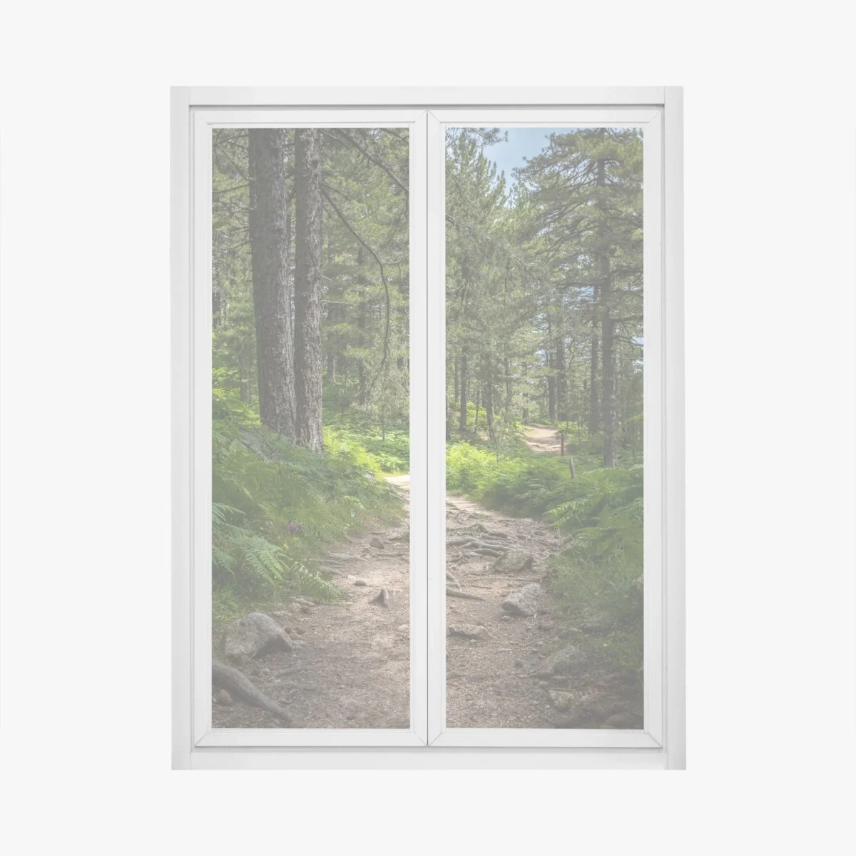 Adesivo per finestra sentiero silenzioso nel bosco • Wallissimo® Adesivo per finestra sentiero silenzioso nel bosco • Wallissimo®