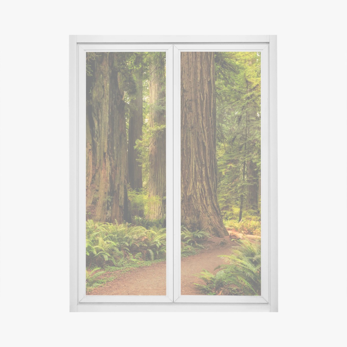 Adesivo per finestra silenzio tra le sequoie della California • Wallissimo®