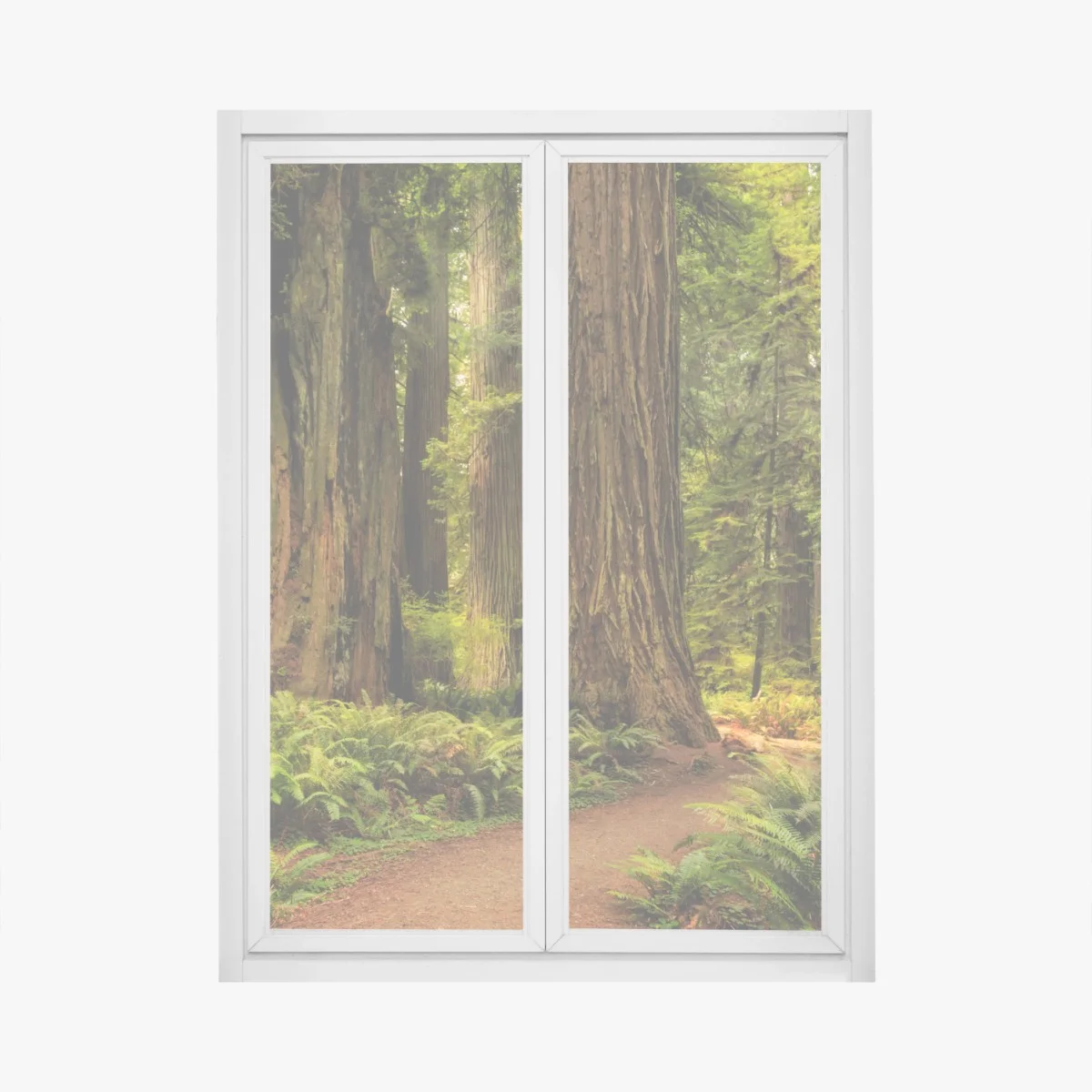 Adesivo per finestra silenzio tra le sequoie della California • Wallissimo® Adesivo per finestra silenzio tra le sequoie della California • Wallissimo®