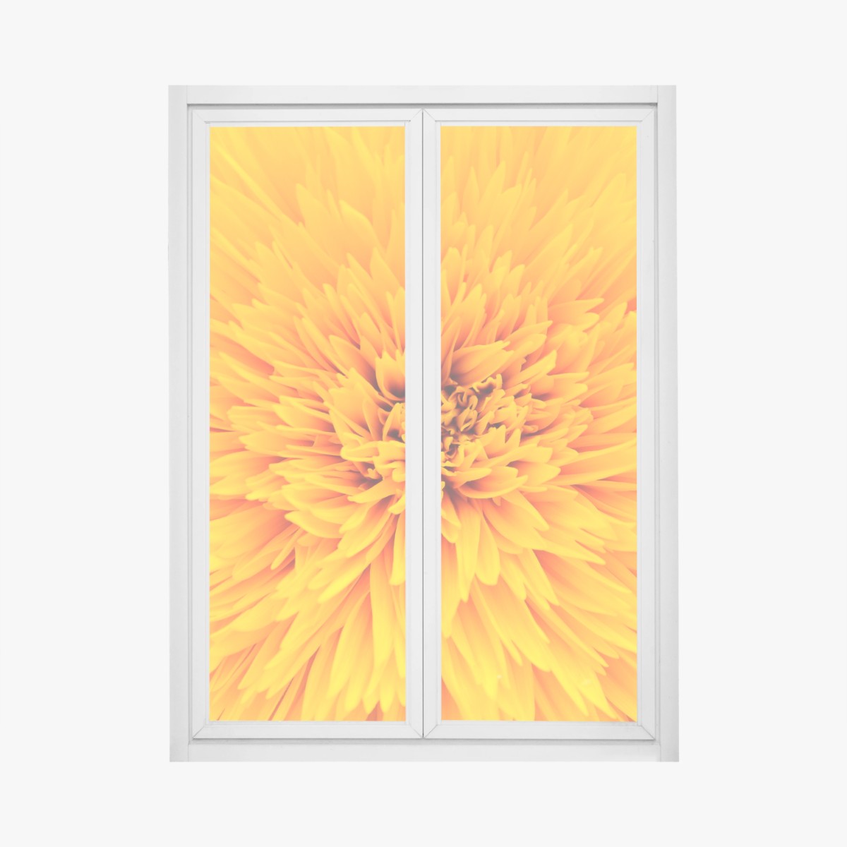 Adesivo per finestra esplosione di petali: texture di girasole per arredo • Wallissimo®