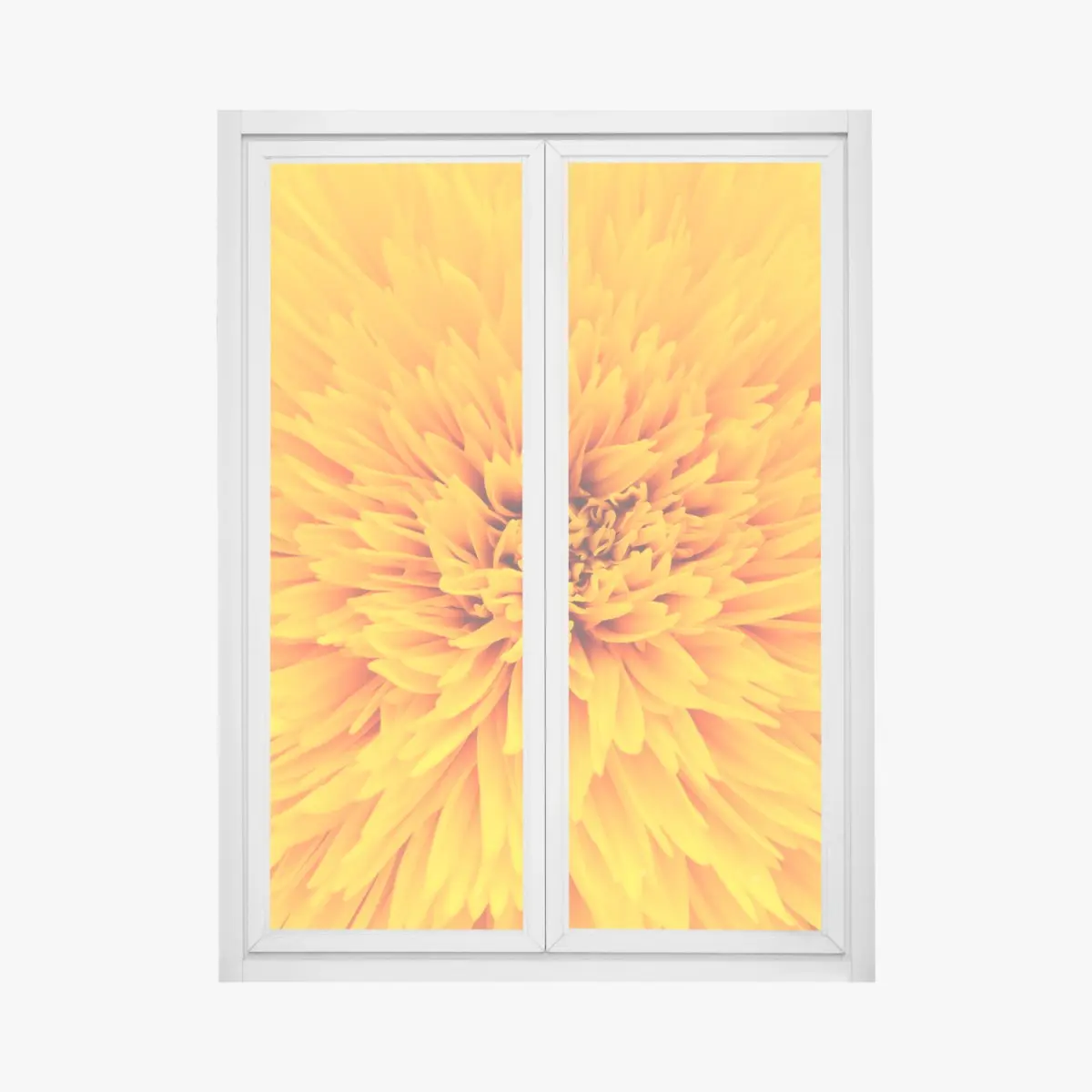 Adesivo per finestra esplosione di petali: texture di girasole per arredo • Wallissimo®