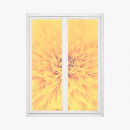 Adesivo per finestra esplosione di petali: texture di girasole per arredo • Wallissimo®