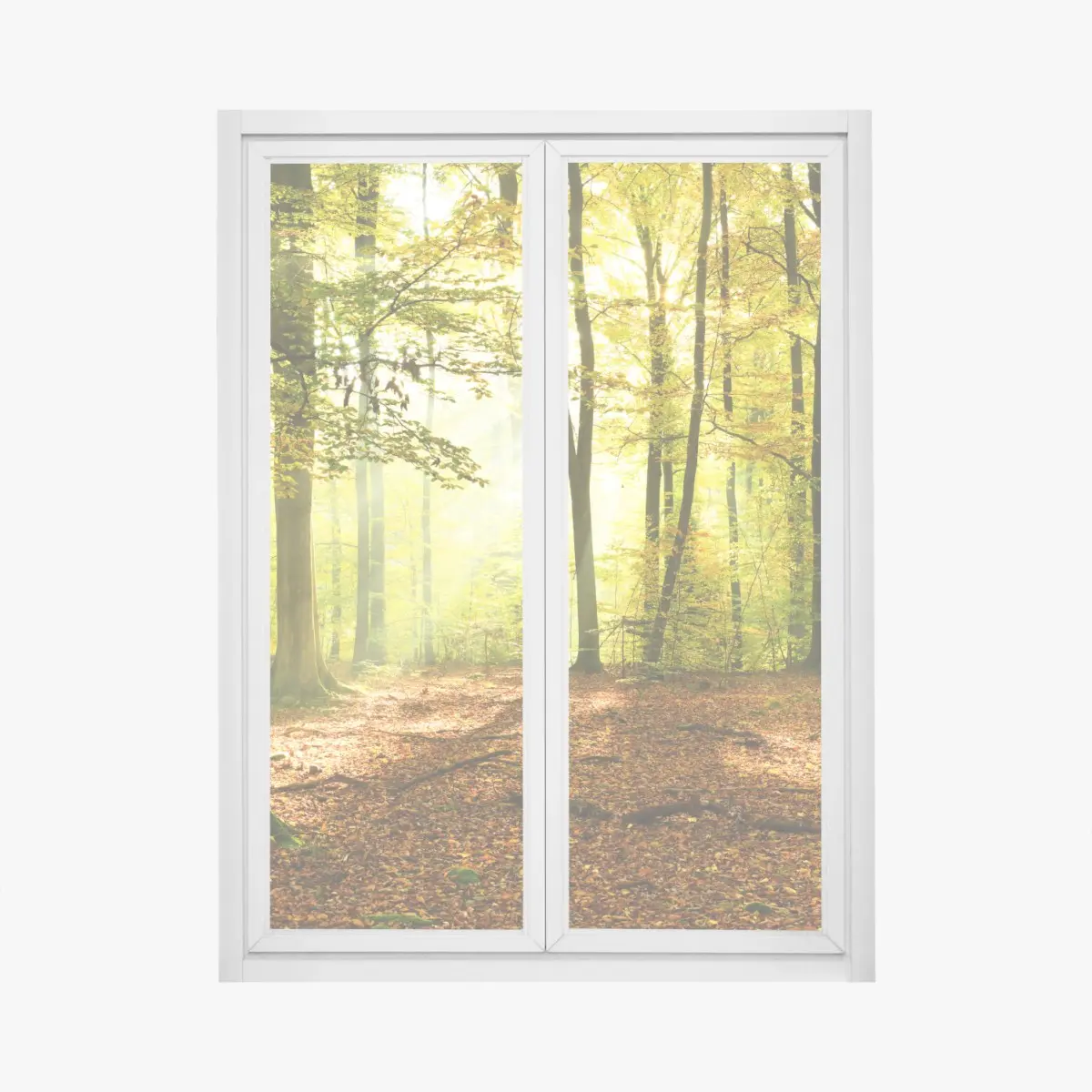 Adesivo per finestra mattina d'autunno nel bosco dorato • Wallissimo®