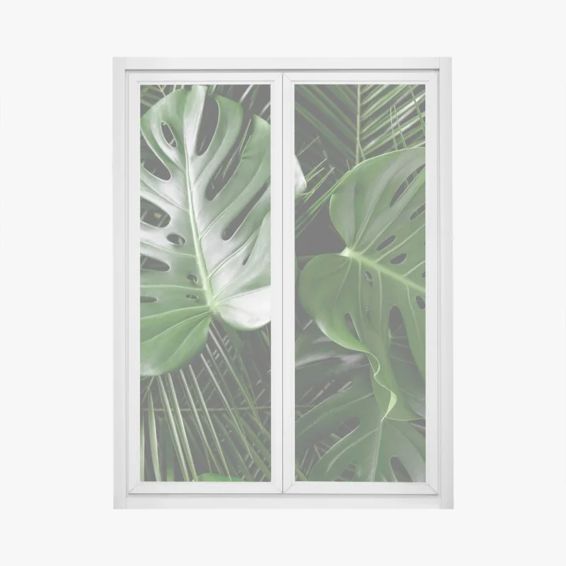 Adesivo per finestra composizione di foglie di monstera e palma