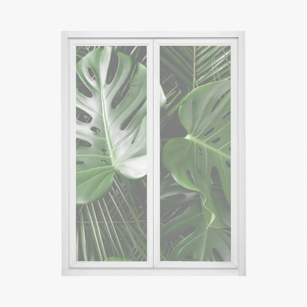 Adesivo per finestra composizione di foglie di monstera e palma • Wallissimo®