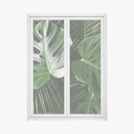 Adesivo per finestra composizione di foglie di monstera e palma • Wallissimo®