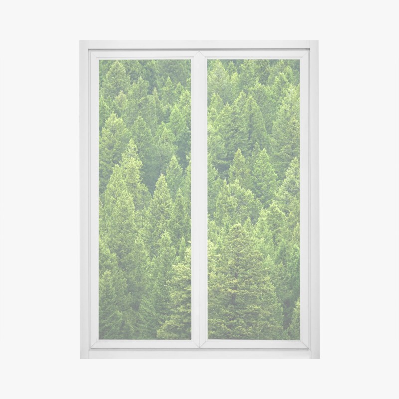 Adesivo per finestra foresta di pini smeraldo
