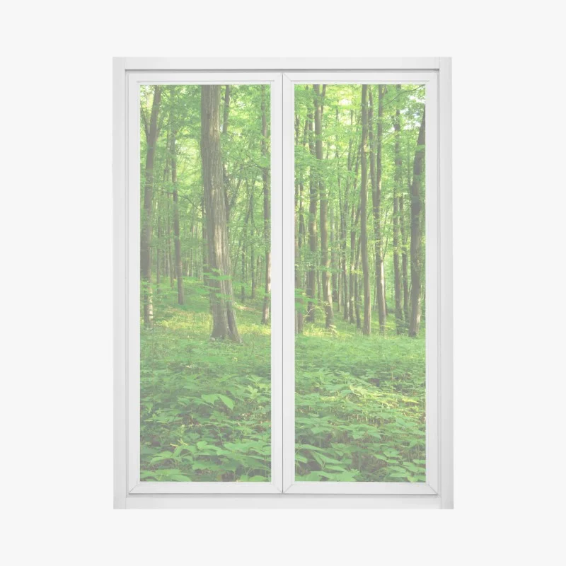 Adesivo per finestra raggi di sole nella foresta primaverile