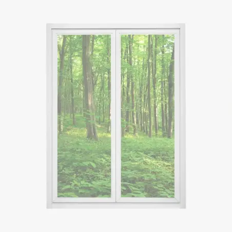 Adesivo per finestra raggi di sole nella foresta primaverile • Wallissimo®