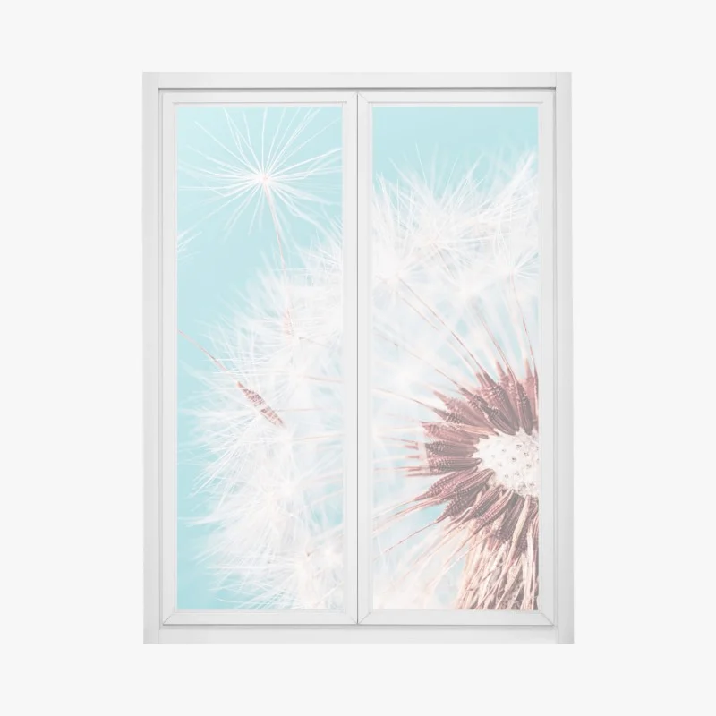 Adesivo per finestra soffione delicato su sfondo turchese