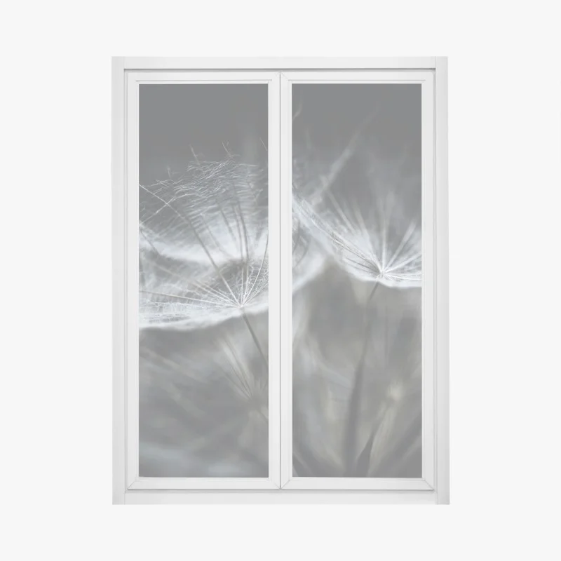 Adesivo per finestra soffione in macro: leggerezza e dettagli