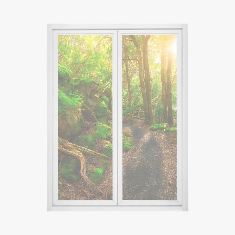 Adesivo per finestra sentiero giurassico nella foresta pluviale della Tasmania