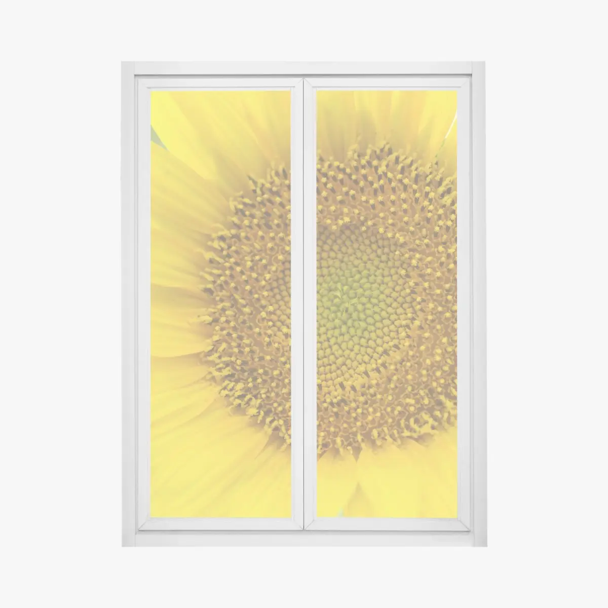 Adesivo per finestra girasole luminoso su sfondo sfocato • Wallissimo®