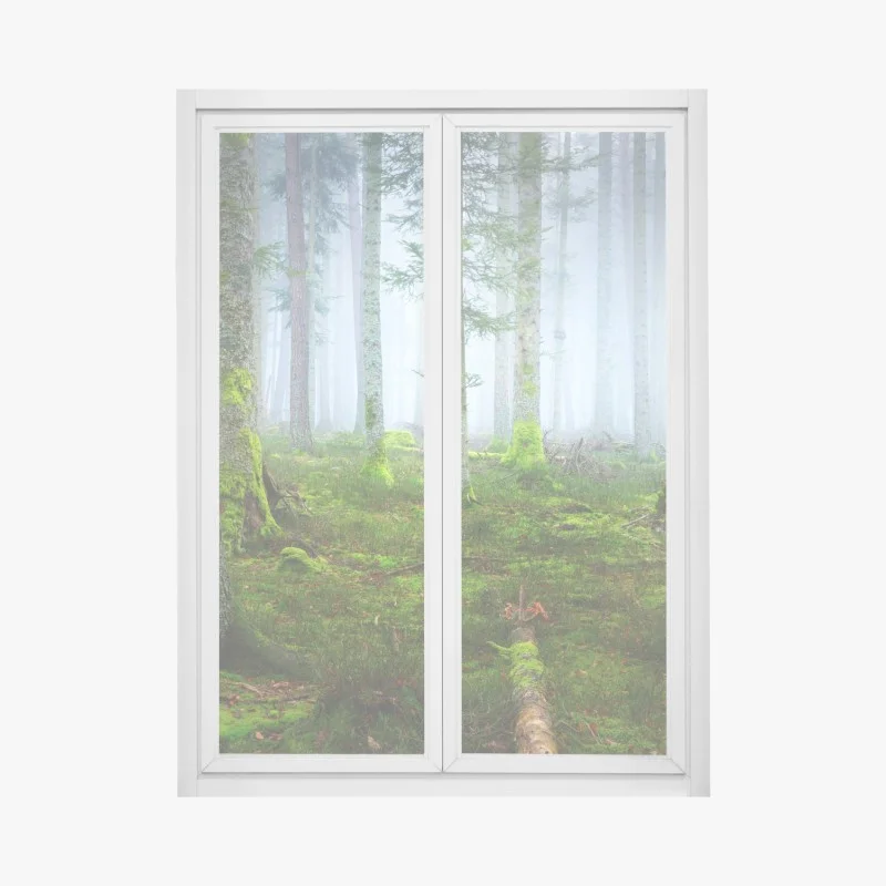 Adesivo per finestra foresta nebbiosa con tappeto di muschio, Alsazia
