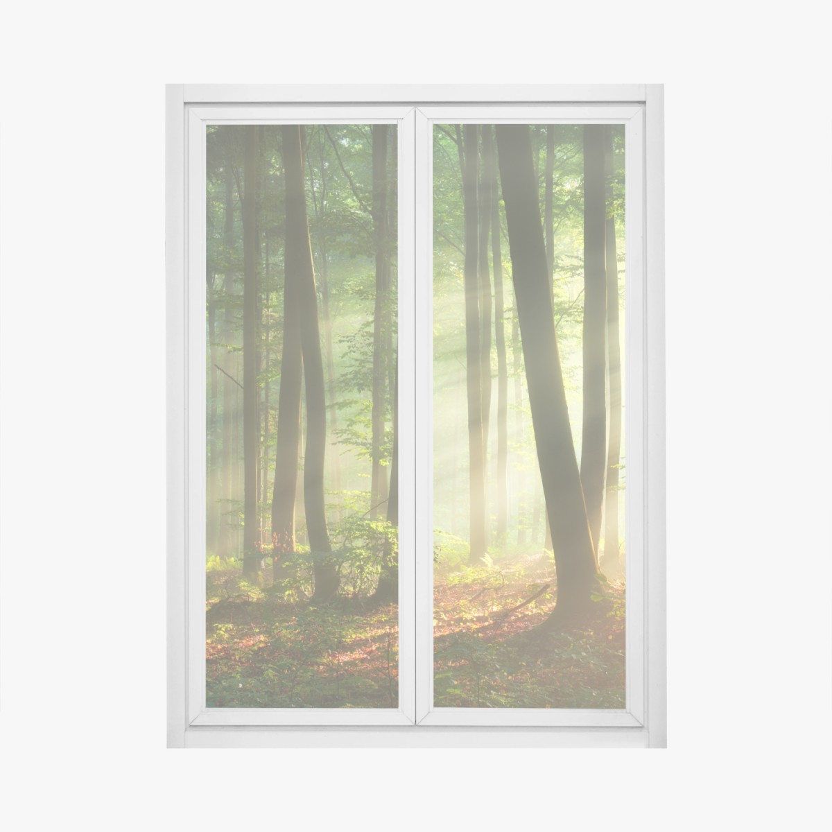 Adesivo per finestra mattina dorata nel bosco • Wallissimo®