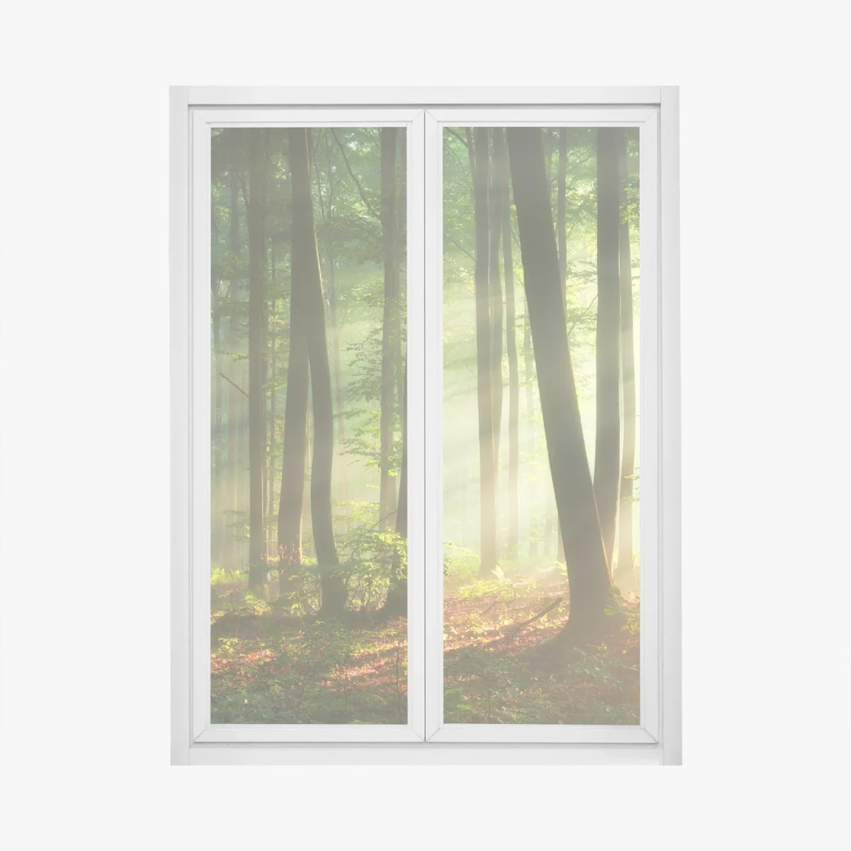 Adesivo per finestra mattina dorata nel bosco • Wallissimo® Adesivo per finestra mattina dorata nel bosco • Wallissimo®