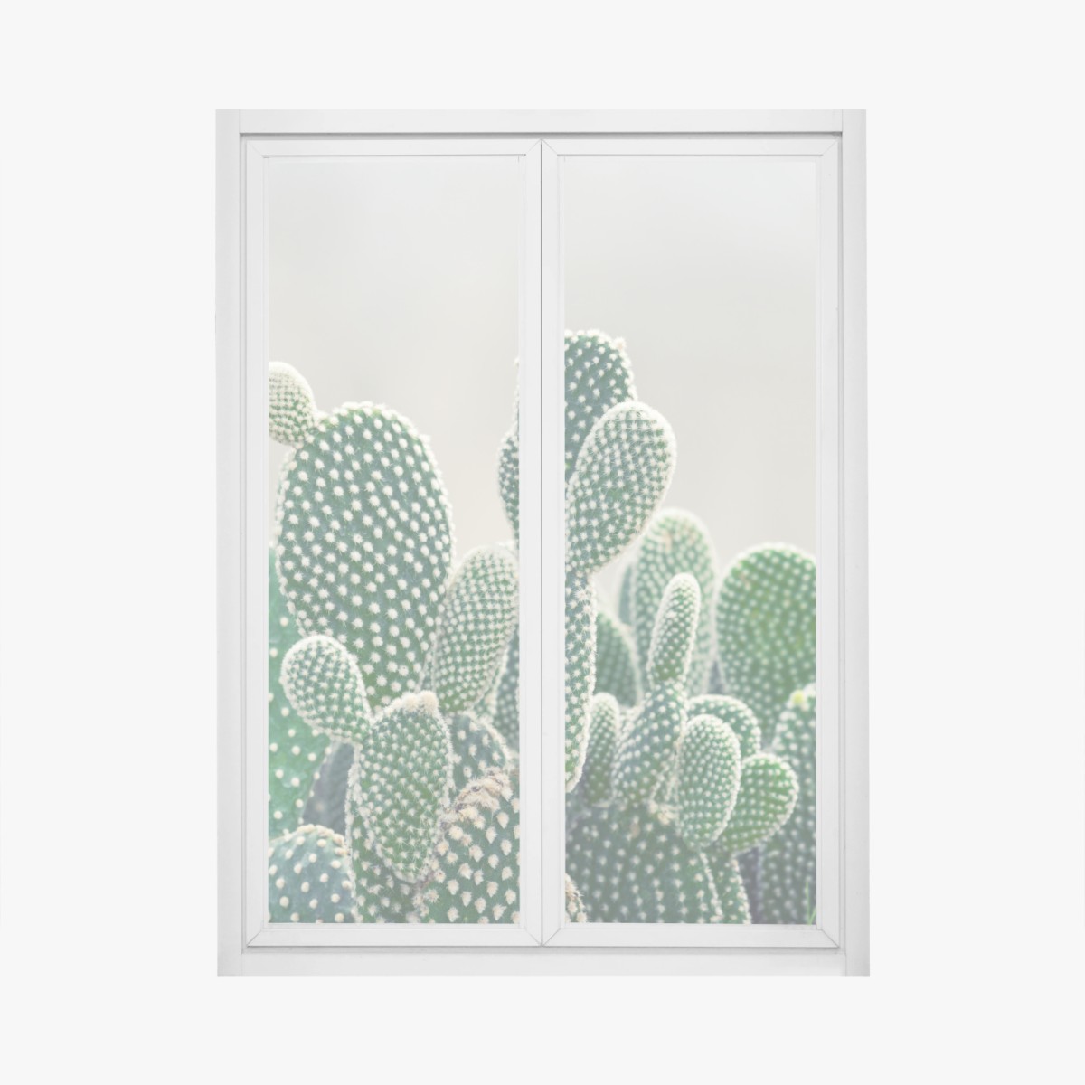 Adesivo per finestra texture di opuntia: stampa botanica verde • Wallissimo®