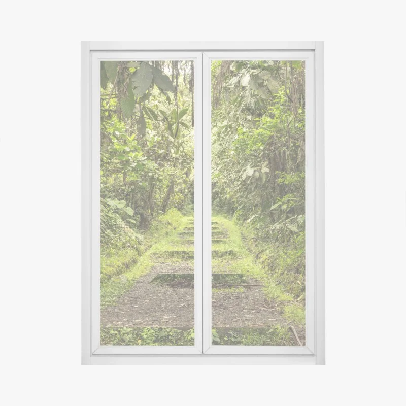 Adesivo per finestra sentiero nascosto nella foresta pluviale