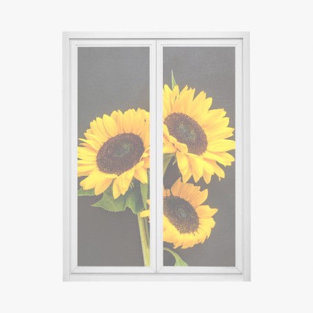 Adesivo per finestra girasoli su sfondo scuro • Wallissimo®