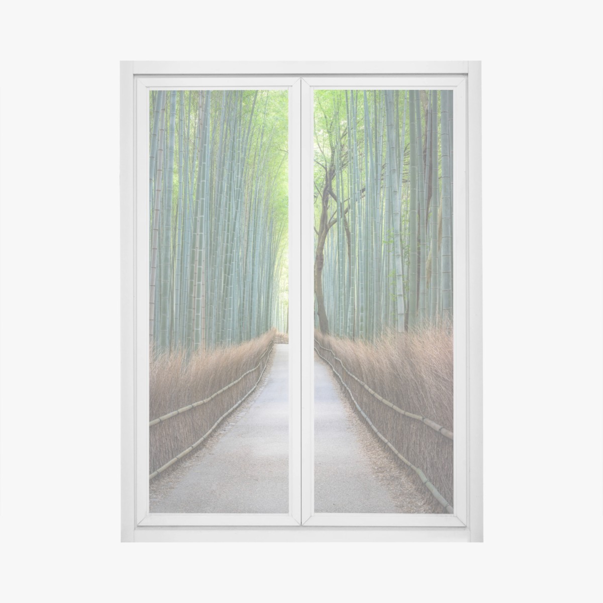 Adesivo per finestra viale nella foresta di bambù • Wallissimo®