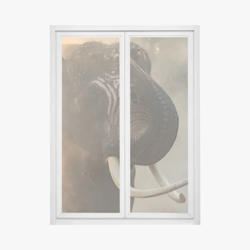 Adesivo per finestra ritratto maestoso dell'elefante Plai Arm da Surin, Thailandia