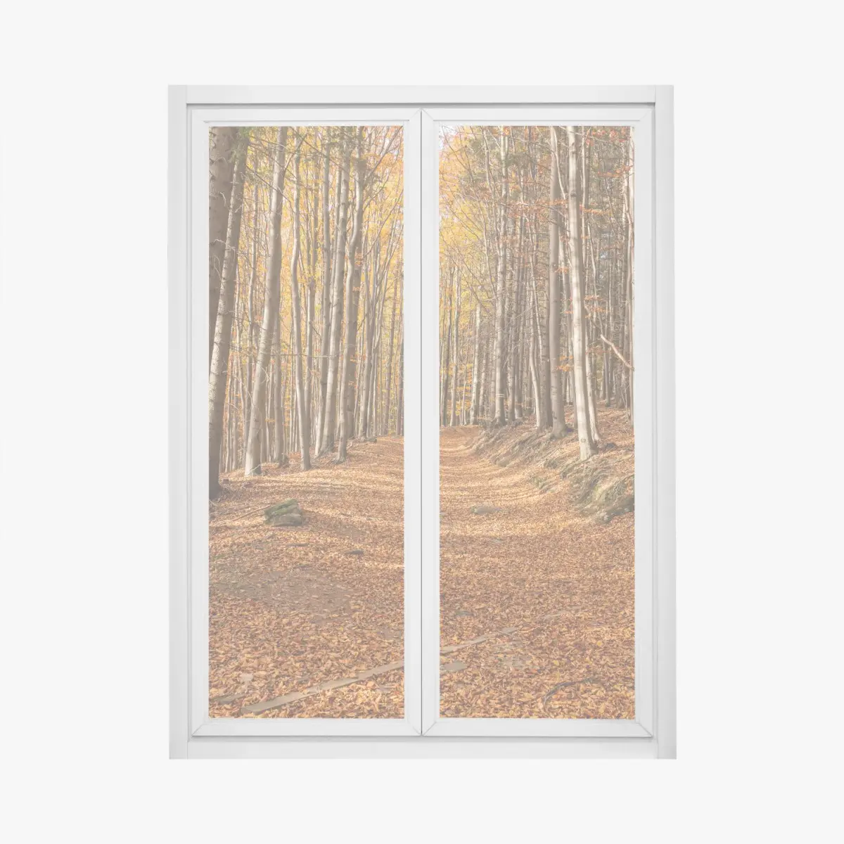 Adesivo per finestra sentiero d'autunno nel bosco dorato • Wallissimo®