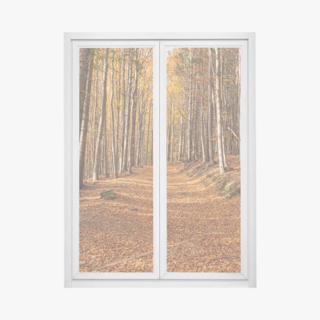 Adesivo per finestra sentiero d'autunno nel bosco dorato • Wallissimo®