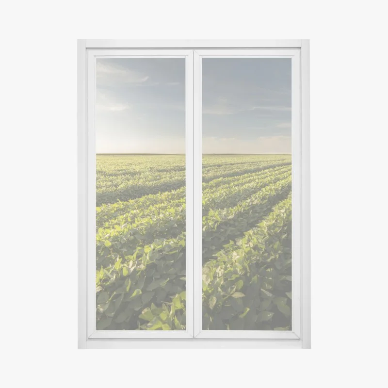 Adesivo per finestra tramonto sul campo di soia